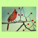 Happy Valentine Day Cardinal cards