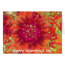 Happy Valentine’s Day Cards