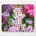 Happy Valentines (2) mousepads