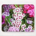Happy Valentines (2) mousepads