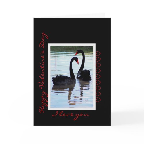 Happy Valentine's Day Black Swans card