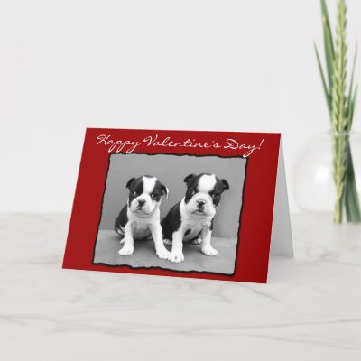 Valentines Day Boston Terrier Coffee Mugs by DogsByDezign