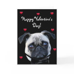 Happy Valentine's Day Boy Pug greeting card