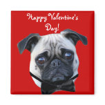 Happy Valentine's Day Boy Pug magnet