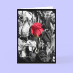 Happy Valentine's Day Cards