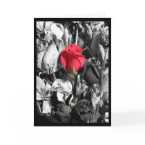 Happy Valentine's Day cards by mochoa Happy Valentine's Day cards