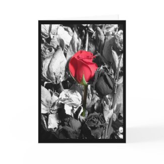 Happy Valentine's Day card