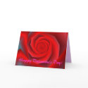Happy Valentine's Day! cards