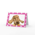 Happy Valentine's Day! cards by biliana Happy Valentine's Day! cards