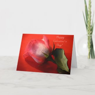 Happy Valentine's Day Card- Pink Rose card