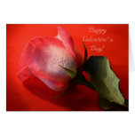 Happy Valentine's Day Card- Pink Rose