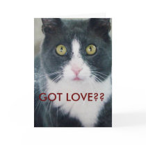 Happy Valentine's Day Cat Card Kitty GOT LOVE??