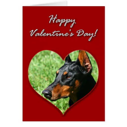 valentines day everyone with doberman