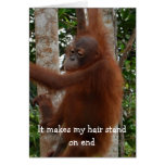 Happy Valentine's Day Funny Hairdo Greeting Card