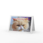 Happy Valentine's Day Persian Cat Humor cards