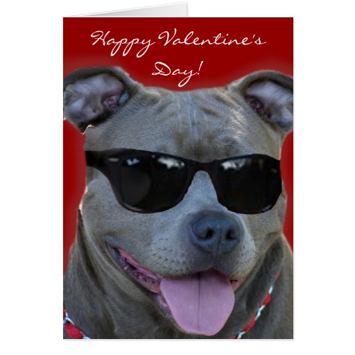 pitbull-clipart-valentines-day-pitbull-valentines-day-transparent-free-for-download-on