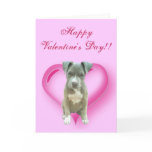Happy Valentine's Day Pitbull Puppy greeting card