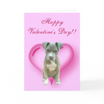 Happy Valentine's Day Pitbull Puppy greeting card