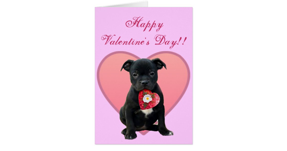 happy-valentine-s-day-pitbull-puppy-greeting-card-zazzle