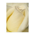 Happy Valentine's Day_Postcard