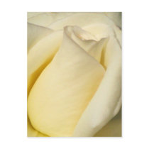 Happy Valentine's Day_Postcard by ELENNE Happy Valentine's Day_Postcard