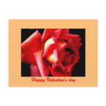 Happy Valentine's Day Postcard