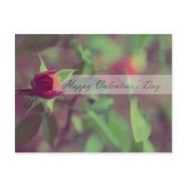 Happy Valentine's Day Post Card