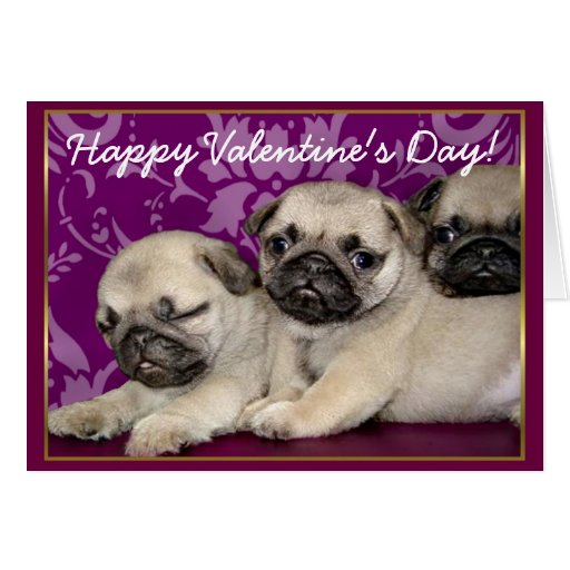 Happy Valentine's Day Pug puppies greeting card | Zazzle