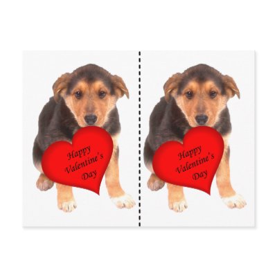 Happy Valentine's Day Puppy Postcard by malibuitalian