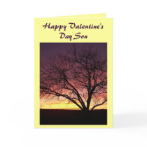 Happy Valentine's Day Son-Greeting Card cards