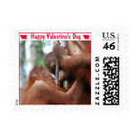 Happy Valentine's Day Wildlife Photography Kiss postage