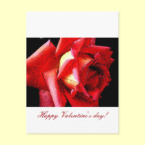Happy Valentines day with artsy roses postcards