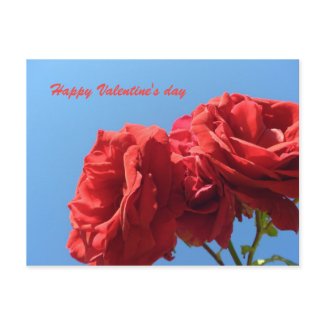 Happy Valentine's Day with pink roses postcard