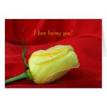 Happy Valentine's Day-Yellow Rose Card