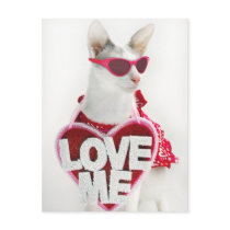 Happy Valentine's Postcard by Skeezix the Cat by knichols1109 Happy Valentine's Postcard by Skeezix the Cat