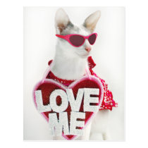 Happy Valentine's Postcard by Skeezix the Cat postcards