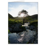 Happy Valley Northumberland, England Cards
