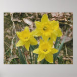Happy Yellow Daffodils Print