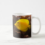 Happy Yellow Fish  - mug
