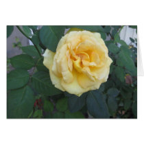 Happy Yellow Rose Greeting Cards