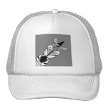 HAPPY ZEBRA HATS