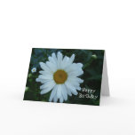 HappyBirthday-Daisy cards