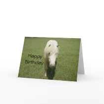 HappyBirthday White Pony Greeting Cards