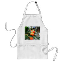 Harberton Ranch,  Tierra del Fuego, Argentina aprons