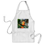 Harberton Ranch,  Tierra del Fuego, Argentina aprons