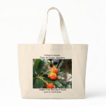 Harberton Ranch,  Tierra del Fuego, Argentina bags