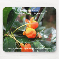 Harberton Ranch,  Tierra del Fuego, Argentina mousepads