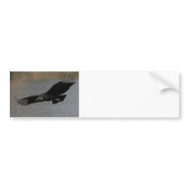 Harbinger of Spring Bumper Sticker