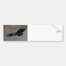 Harbinger of Spring Bumper Sticker