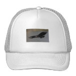 Harbinger of Spring Hats